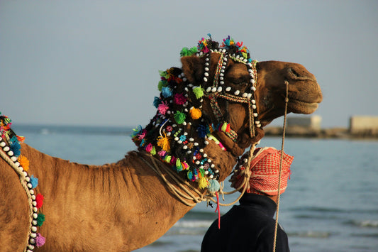 Summer in Iran: Top Destinations to Beat the Heat